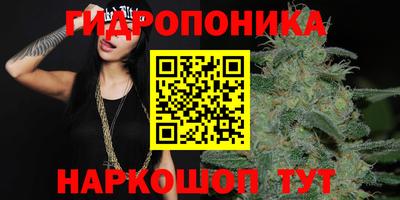 молекула духа Бузулук
