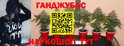 меф Будённовск
