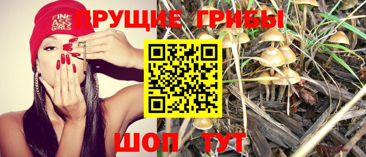 Галлюциногенные грибы Magic Shrooms Красногорск