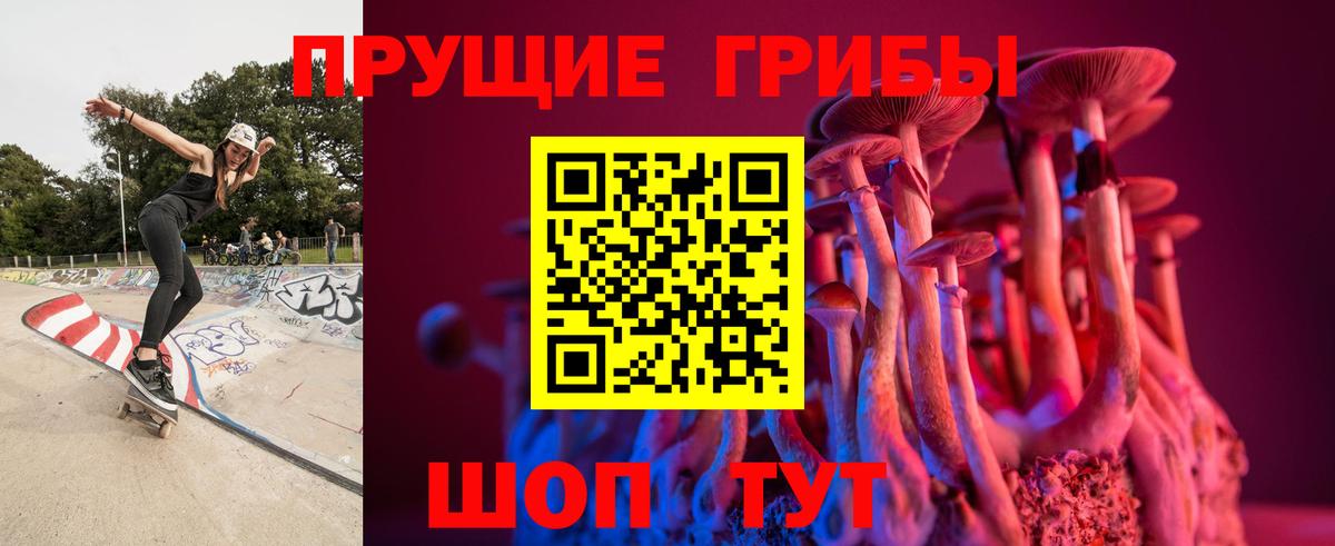 Псилоцибиновые грибы ЛСД  Вход с VPN  Красногорск  Псилоцибиновые грибы Cubensis 